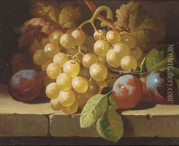 Grapes and plums on a stone ledge Oil Painting - Charles Thomas Bale