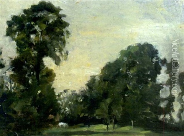 Elm Trees, Near Aylesbury, Buckinghamshire Oil Painting - Emily Murray Paterson