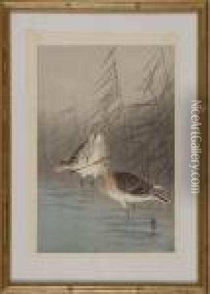 Depicting Two Snipes Waiting In A Marsh Oil Painting - Ohara Koson