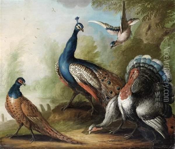 A Peacock, Pheasant, Turkey And Jay By A River Oil Painting - Marmaduke Cradock