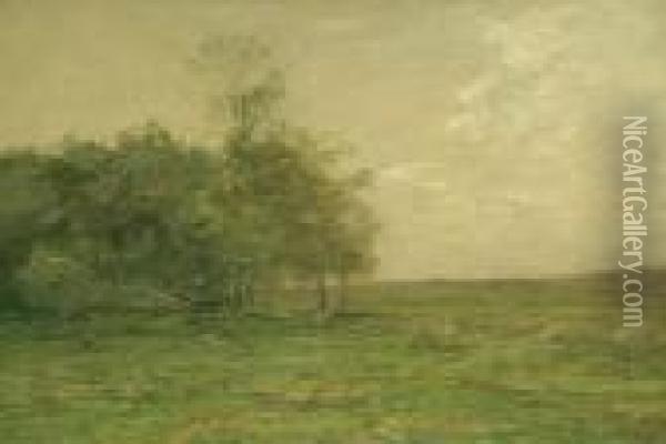 ''copse And Field'' Oil Painting - John Francis Murphy