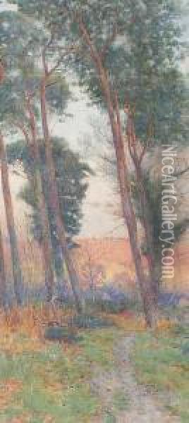 Pine Trees Oil Painting - Willie Stephenson