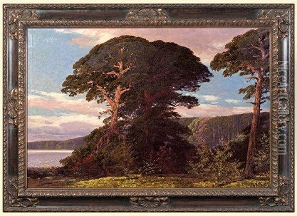 Pine Trees At A Lake Oil Painting - Rudolf Hellgrewe