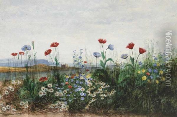 Wild Flowers With View Of Doe Castlebeyond Oil Painting - Andrew Nicholl