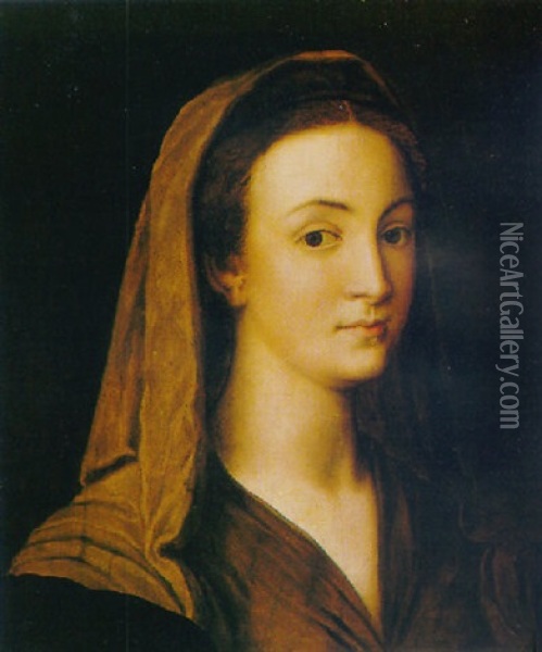 Portrait Of A Woman In A Brown Dress Oil Painting -  Bronzino