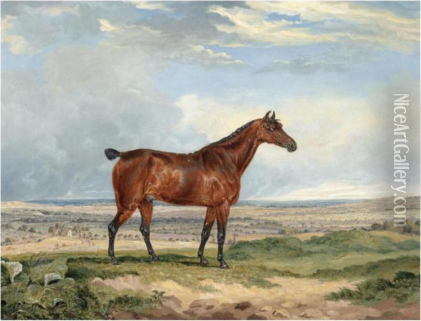 A Bay Hunter In An Extensive Landscape Oil Painting - James Ward