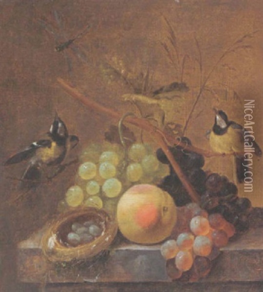 A Still Life Of Grapes, A Peach And A Dragonfly, Together With Blue Tits And A Bird's Nest, Arranged Upon A Marble Ledge Oil Painting - Johannes Hendrik Fredriks