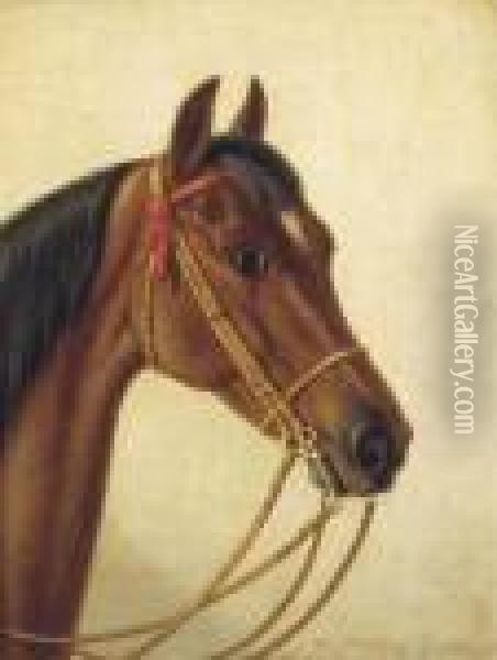 Head Of A Horse Oil Painting - Willem Carel Nakken