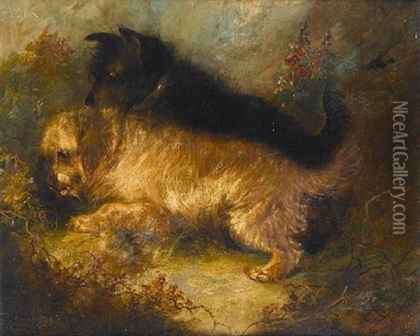 Terriers By A Burrow Oil Painting - George Armfield
