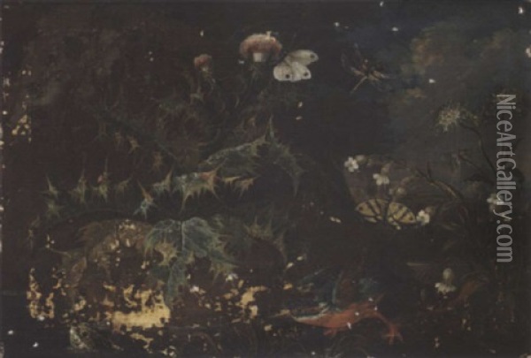 A Forest Floor With A Kingfisher And A Frog Oil Painting - Franz Michael Sigmund von Purgau