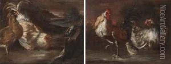 A Cockerel Oil Painting - Giovanni Agostino Cassana