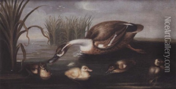 A Duck And Her Four Ducklings In A Stream Amongst Reeds Oil Painting - Pieter Casteels III