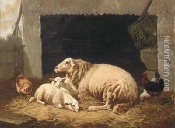 Sheep Resting In A Barnyard Oil Painting - Henri De Beul