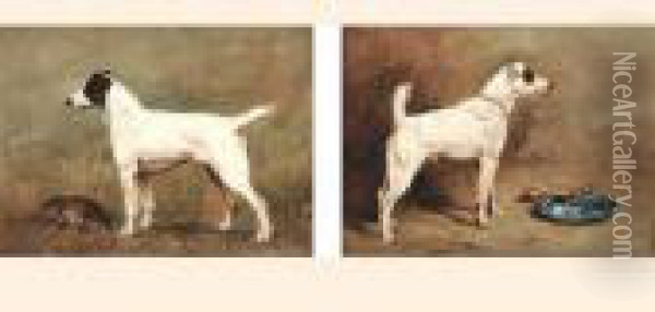 Fox Terriers Oil Painting - John Emms