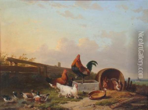 A Farm Yard With Poultry, Ducks And Rabbits Oil Painting - Franz van Severdonck