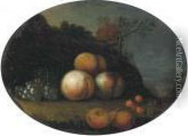 Peaches, Grapes, Pears And Cherries In A Wooded Clearing Oil Painting - Tobias Stranover