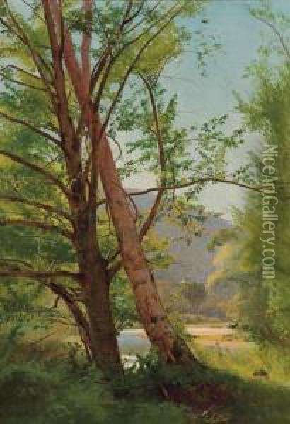 Through The Trees Oil Painting - William Howard Hart