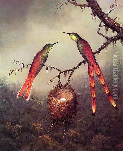 Two Hummingbirds Garding An Egg Oil Painting - Martin Johnson Heade