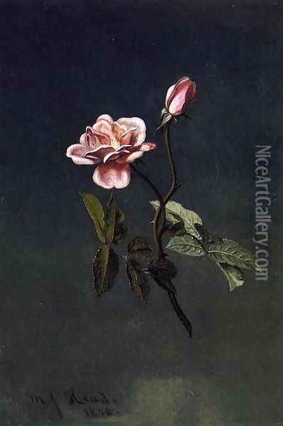 Pink Rose Oil Painting - Martin Johnson Heade