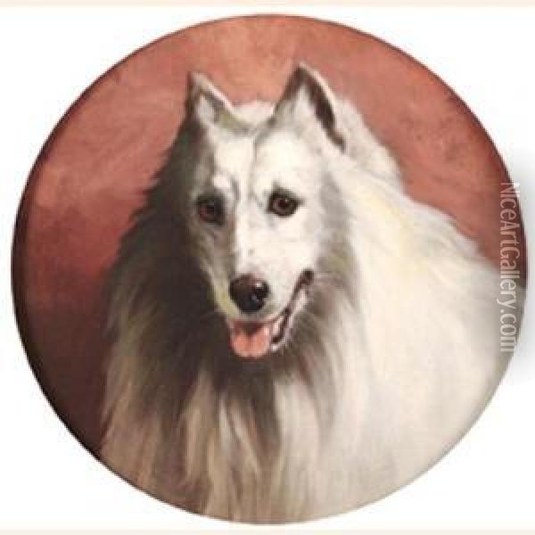 A White Dog, Possibly A Spitz Oil Painting - George Earl