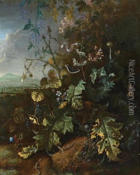 Waldstillleben Mit Schmetterlingen Und Echsen Oil Painting - Matthias Withoos