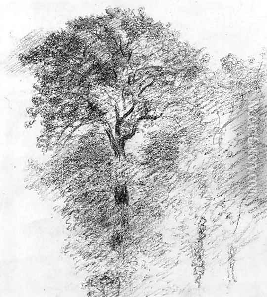 Elm Trees Oil Painting - John Constable