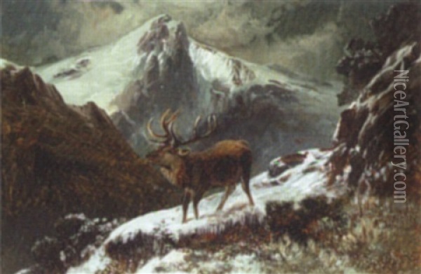 A Stag In A Midnight Winter Landscape Oil Painting - Clarence Henry Roe