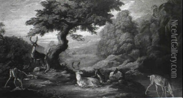 Deer In A Wooded Landscape Oil Painting - Johann Elias Ridinger