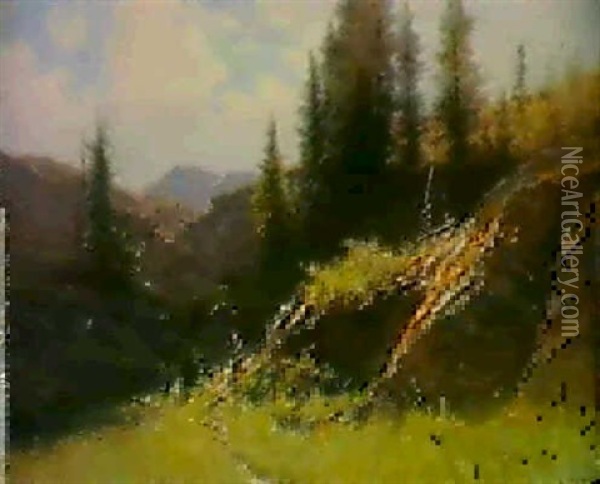 Sommeridylle In Den Bergen Oil Painting - Gustave Eugene Castan