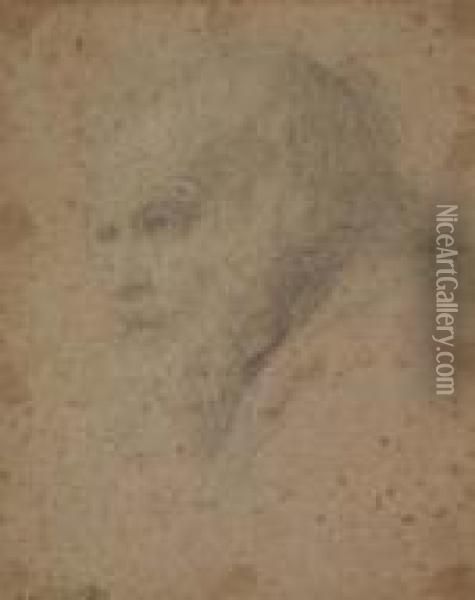 Head Of An Old Man<</b> Oil Painting - Domenico Zampieri (Domenichino)