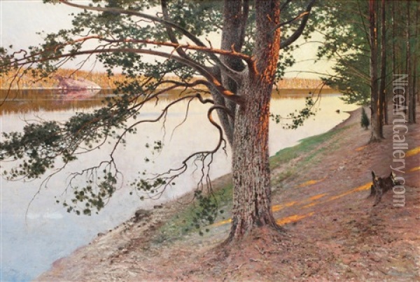 Aftonrodnad Pa Tall I Skargarden Oil Painting - August Vilhelm Nikolaus Hagborg