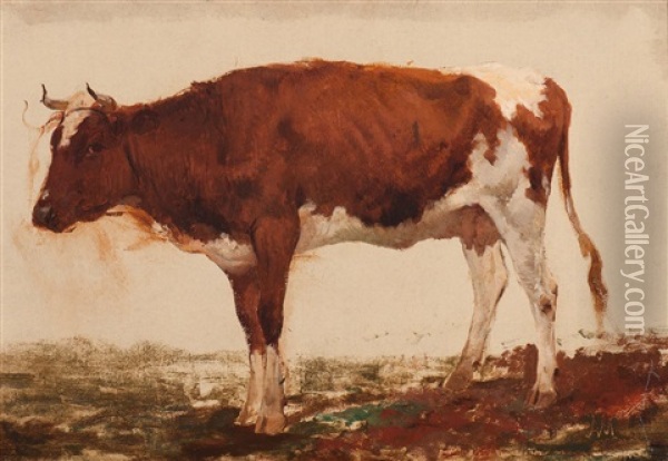Red And White Cow Oil Painting - Anton Mauve