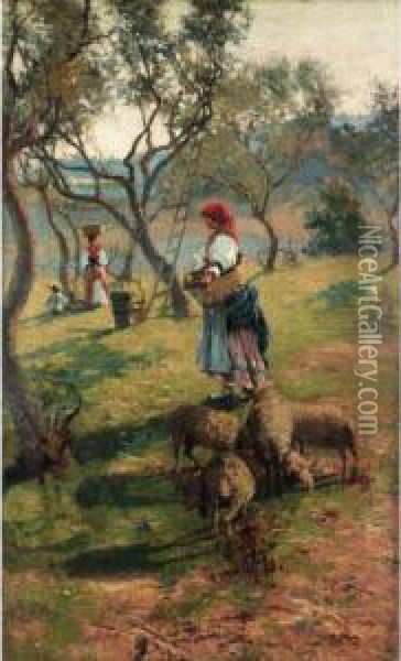 In The Olive Grove Oil Painting - Jose Maria Xiro Y Taltabull