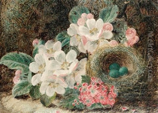 Apple Blossom And A Bird's Nest On A Mossy Bank Oil Painting - Oliver Clare