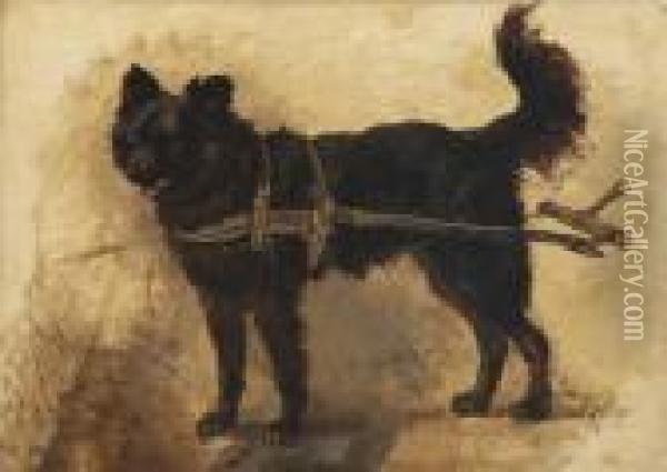 A Dog Cart Drawn By A Black Dutch Decoydog Oil Painting - Henriette Ronner-Knip