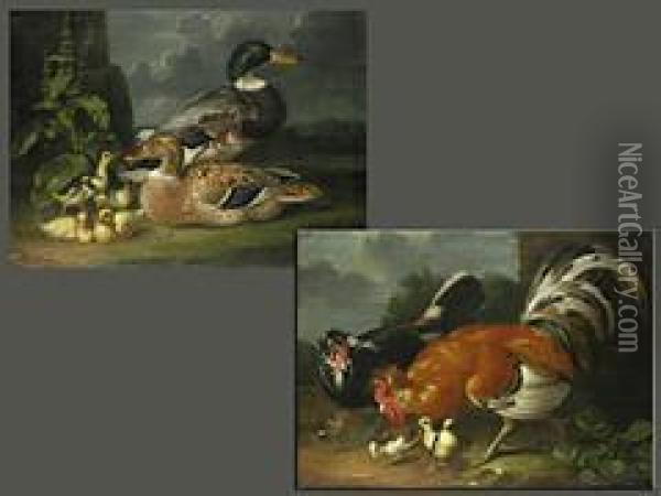 Paar Federvieh- Darstellungen Oil Painting - Jacob Samuel Beck