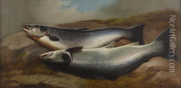 Salmon On A Riverbank Oil Painting - John Russell