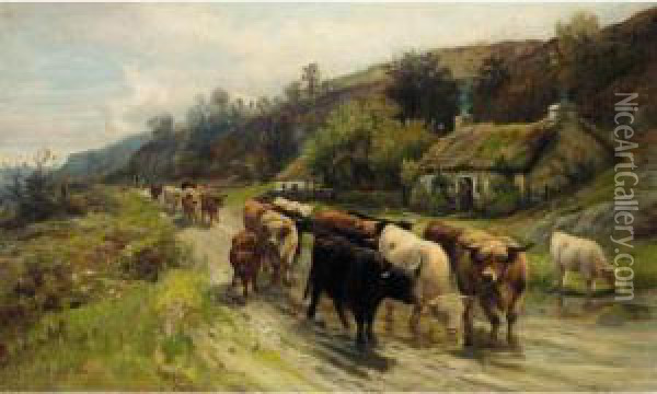 Cattle On A Highland Road Oil Painting - Joseph Denovan Adam