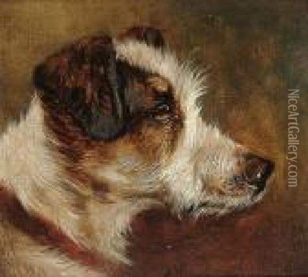 Head Study Of A Terrier Oil Painting - John Arnold Wheeler