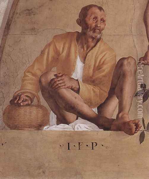 Vertumnus and Pomona (detail-1) 1519-21 Oil Painting - (Jacopo Carucci) Pontormo