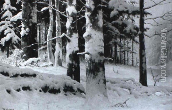 Vinterdag Med Solbeskinnede Traeer I Skoven Oil Painting - Walter Moras