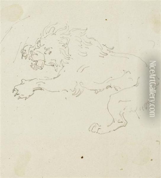 Study For A Lion Oil Painting - Theodore Gericault