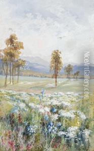 Western Australian Wildflowers Oil Painting - Marian Ellis Rowan