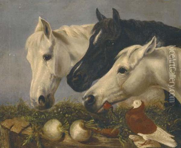 Three Horses Oil Painting - John Frederick Herring Snr