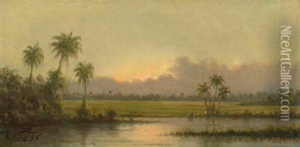 Palm Trees, Florida Oil Painting - Martin Johnson Heade
