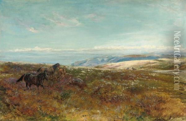 Ponies On The Moors, Summer Oil Painting - Heywood Hardy