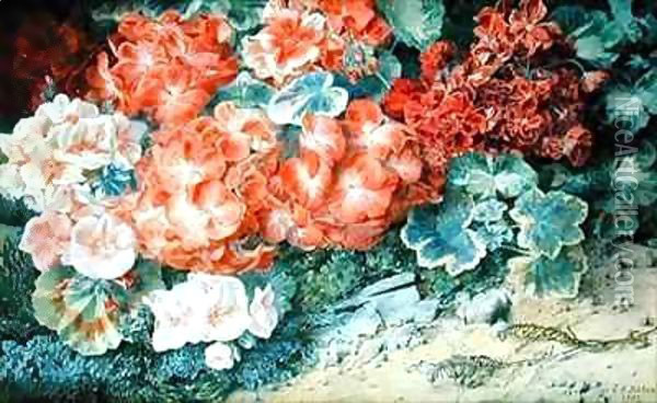 Geraniums Oil Painting - Jessey Fairfax Bates