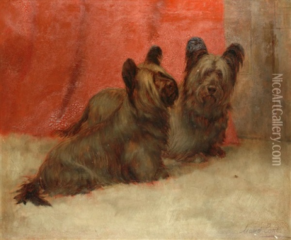 Portrait Of Two Skye Terriers Oil Painting - Maud Earl