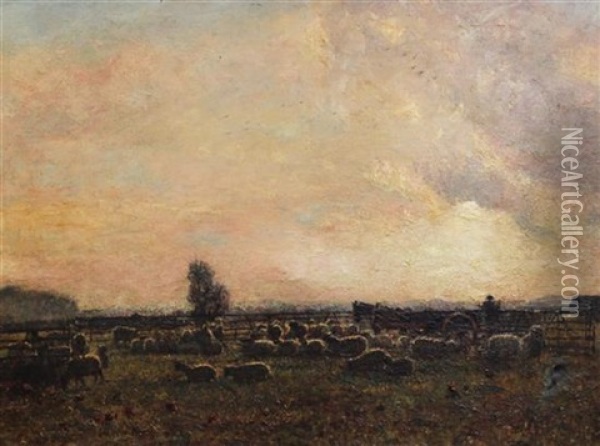 Sheep In A Meadow At Sunset Oil Painting - John William Buxton Knight