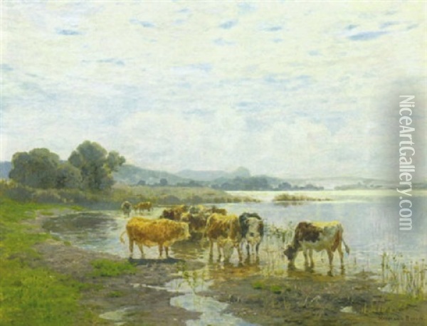 Kuhe An Der Tranke Am Ufer Eines Oberbayerischen Sees Oil Painting - Hermann Baisch